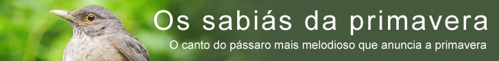 Os sabiás da primavera