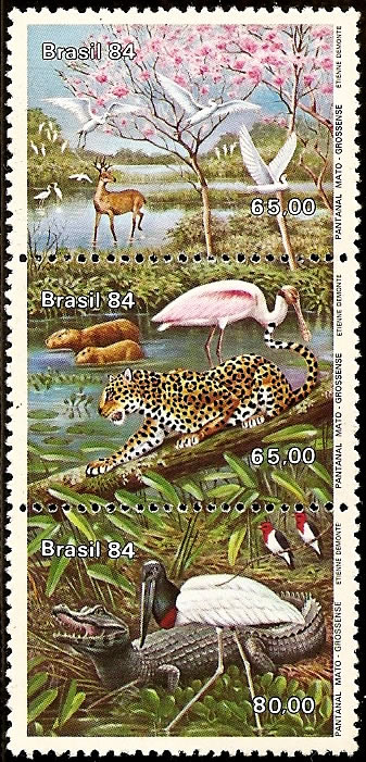 pantanal5