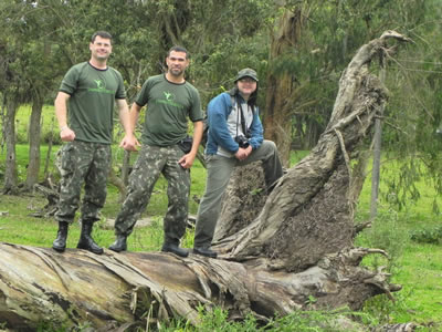 Campestrini-Coelho-Cirino