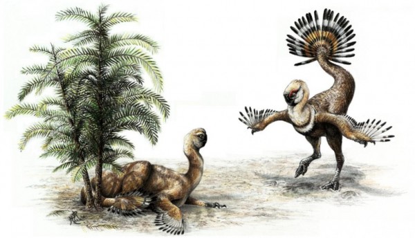 Ilustração SYDNEY MOHR.