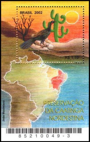 caatinga