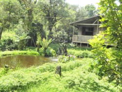 expedicao_araponga casa dos beija-flores