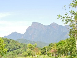 Vista da serra do mar