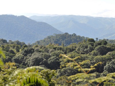 expedio campina grande do sul - pr