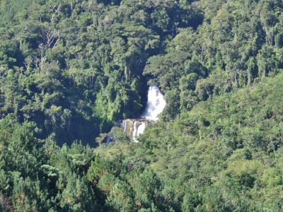 expedio campina grande do sul - pr 3 20130608 1753406191