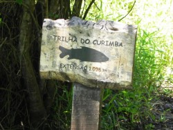 parque_ecolgico_dr_daisaku_ikeda