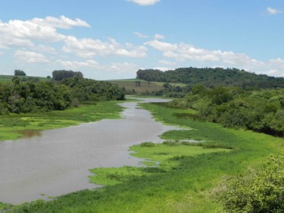 parque_ecolgico_dr_daisaku_ikeda