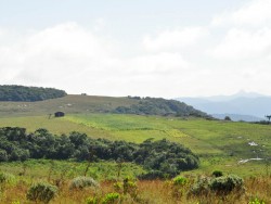 Paisagem
