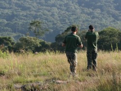 Equipe Passarinhando