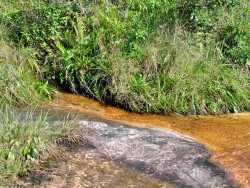 Riacho entre as pedras