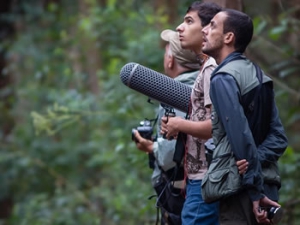 Observa&ccedil;&atilde;o de Aves ou P&aacute;ssaros?