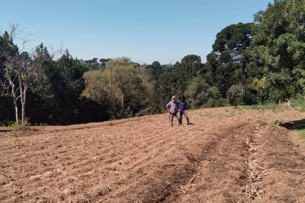 Agricultura regenerativa, Eletrocultura e observa&ccedil;&atilde;o de aves em um &uacute;nico lugar