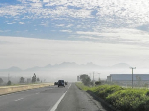 Passarinhadas e os caminhos do Paran&aacute;
